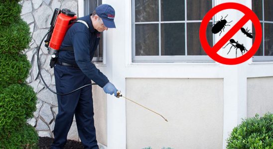 Atakum Hamam Böceği İlaçlama böcek ilaçlama ve haşere kontrolü — ilaclama-tr.com